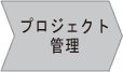 プロジェクト管理